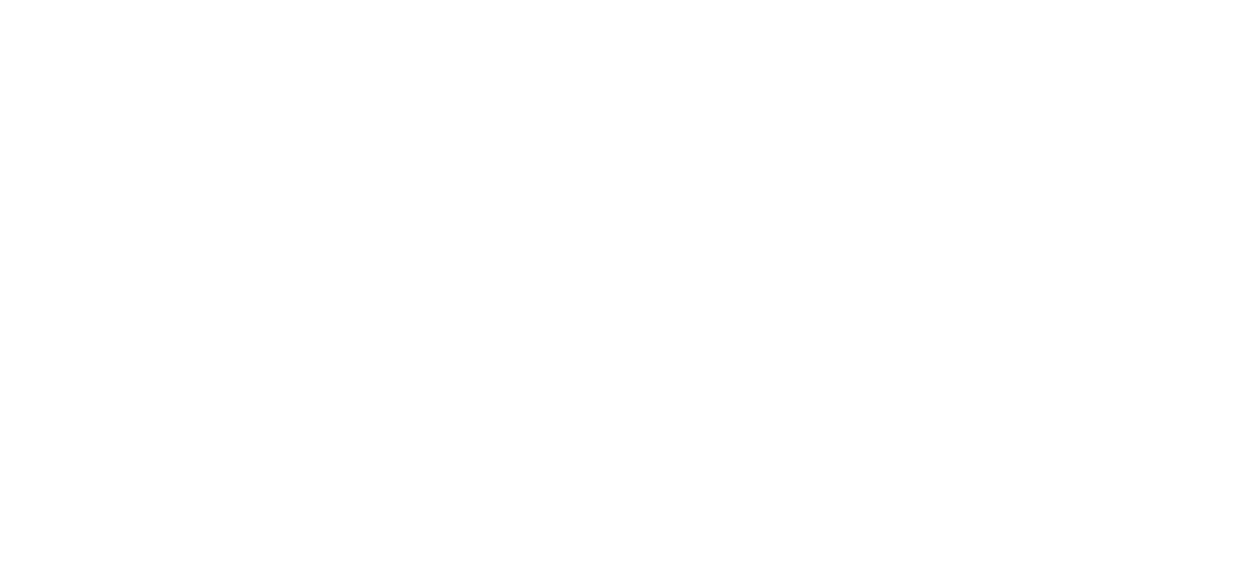 NewCommonEra